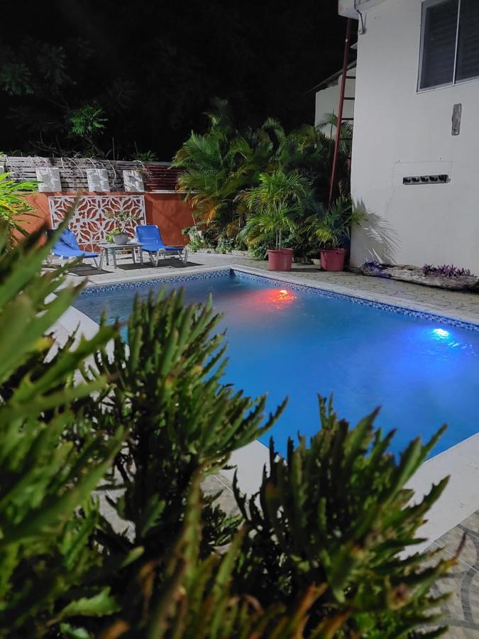 Samana Complejo Villa Las Palmeras Piscina, Billar, Jardin, Bbq @Drvacationsrental מראה חיצוני תמונה